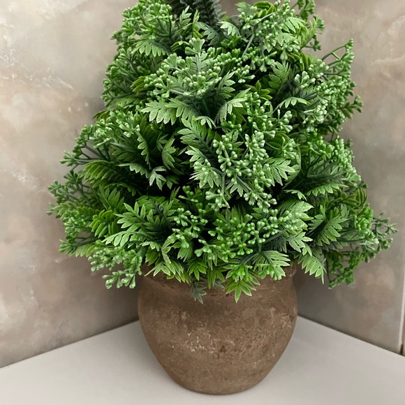🎈sale🎈Plant with concrete vase - Picture 1 of 5